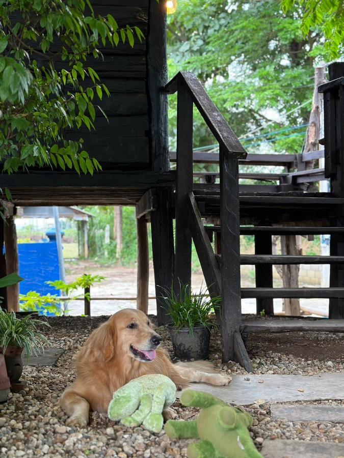 The Legend Homestay. Mae Ai Εξωτερικό φωτογραφία