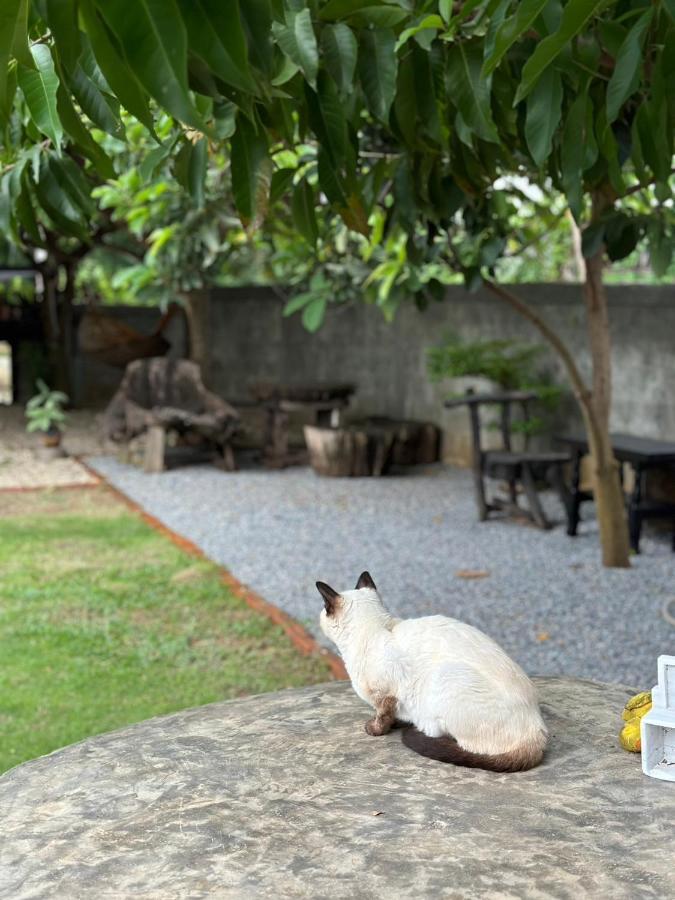 The Legend Homestay. Mae Ai Εξωτερικό φωτογραφία
